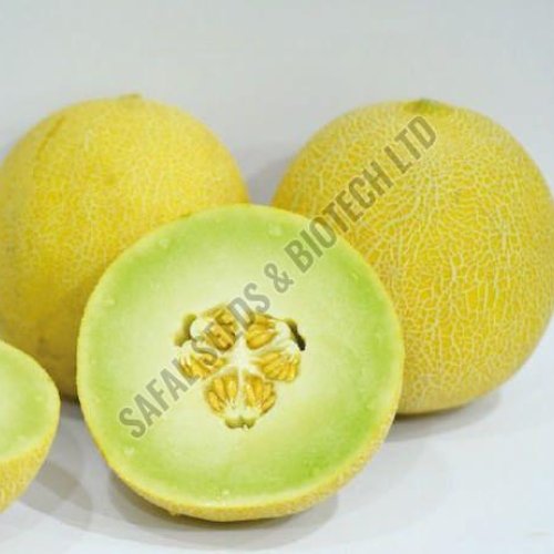 F1-Safal Diamond Muskmelon Seeds