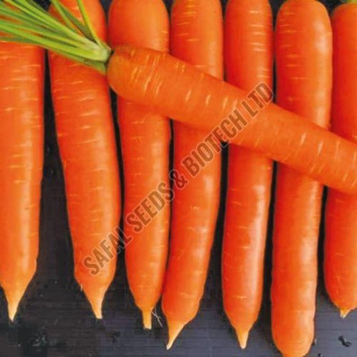 F1-Safal King Carrot Seeds