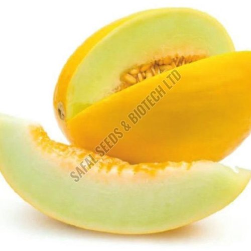 F1-Yellow Sapphire Muskmelon Seeds F1-Yellow Sapphire Muskmelon Seeds