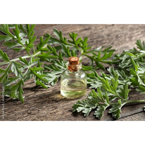 Artemisia Oil