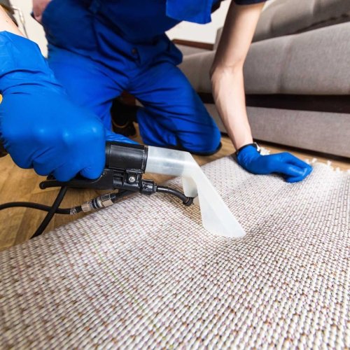 Carpet Cleaning Service