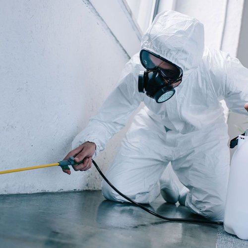 Pest Control Service