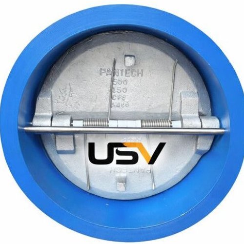 Dual Plate Check Valve