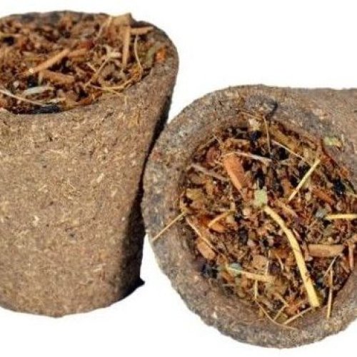 Cow Dung Hawan Cup