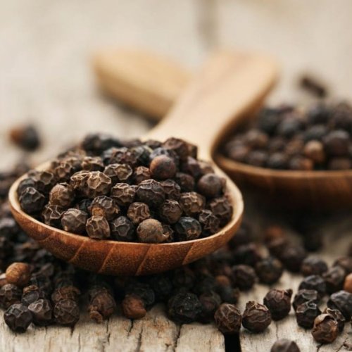Black Pepper Seeds Black Pepper Seeds