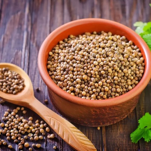 Coriander Seeds Coriander Seeds