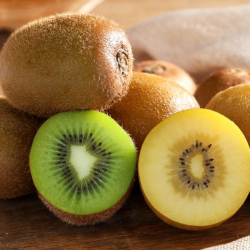 Fresh Kiwi Fresh Kiwi
