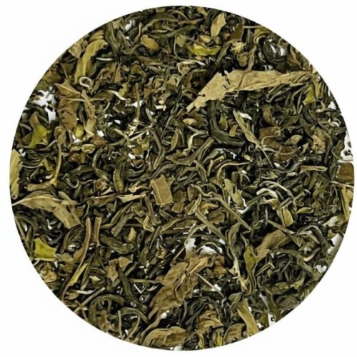 Tulsi Green Tea