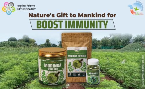 Organic Moringa Powder