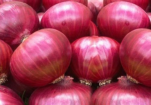 Fresh Big Red Onion