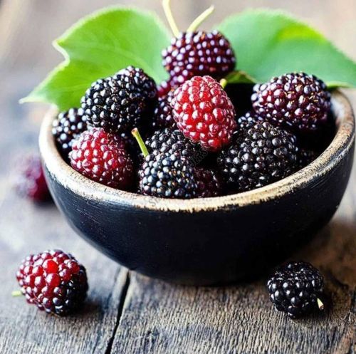 A Grade Fresh Mulberry
