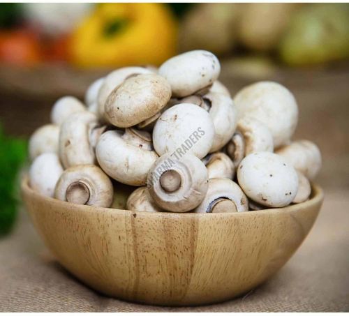 A Grade Fresh Mushroom