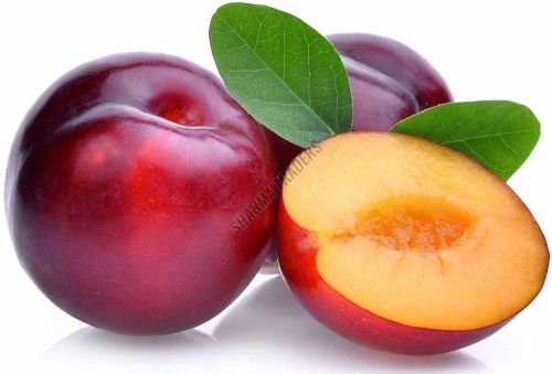 A Grade Fresh Plum