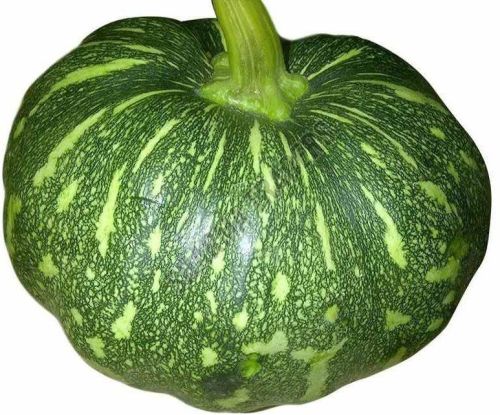 A Grade Fresh Pumpkin
