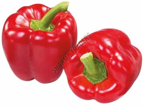 A Grade Fresh Red Capsicum