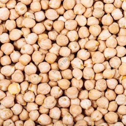 A Grade Kabuli Chana