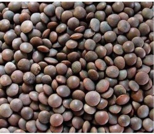 Black Masoor Dal