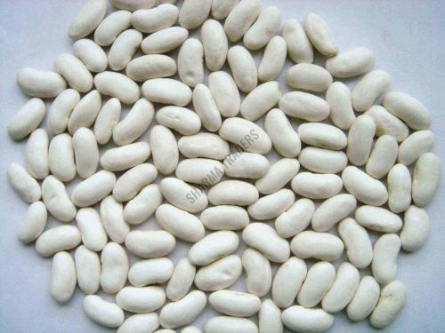 White Kidney Bean