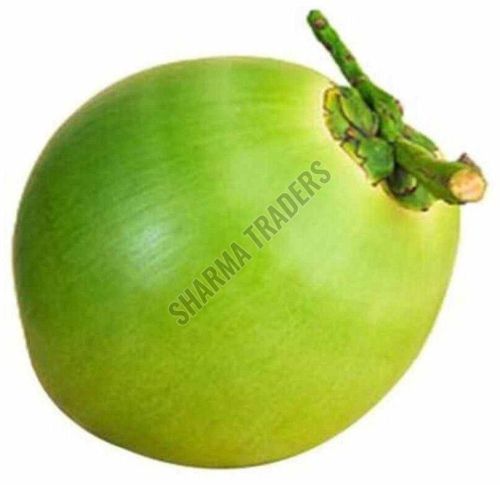 Whole A Grade Fresh Tender Coconut