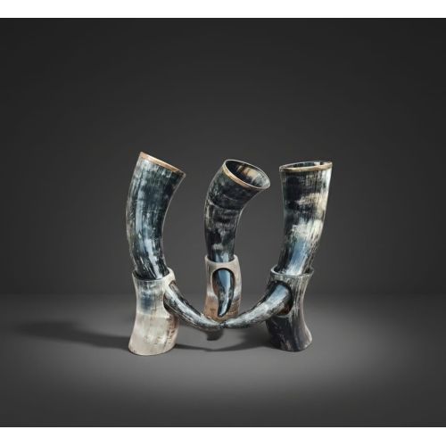 Decorative Natural Horn Glass Set with Stand