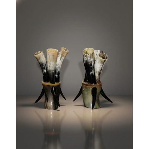 Horn Glass Sets