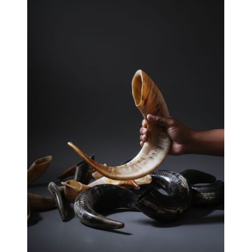 RAM Sheep Horn Shofar