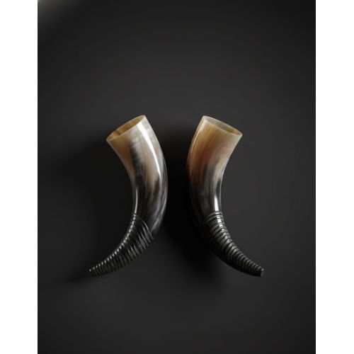 Drinking Horn