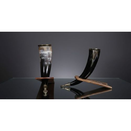 Drinking Viking Horn