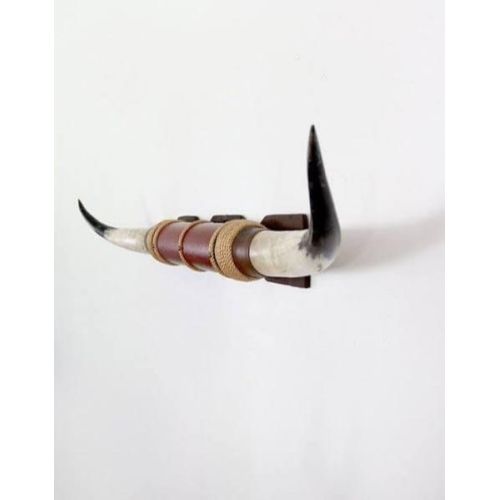 Viking Horn