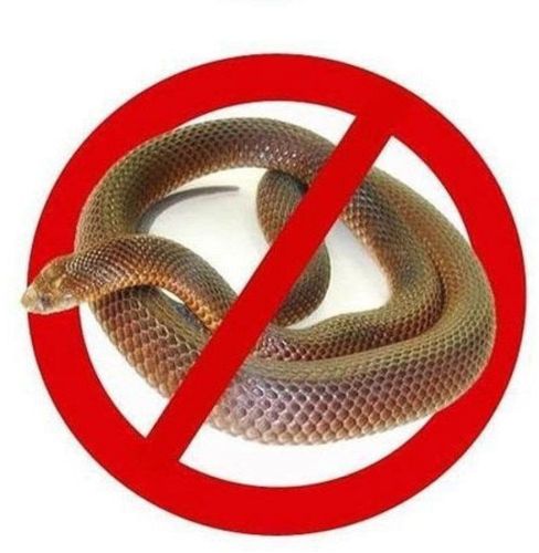 Snake Control Services