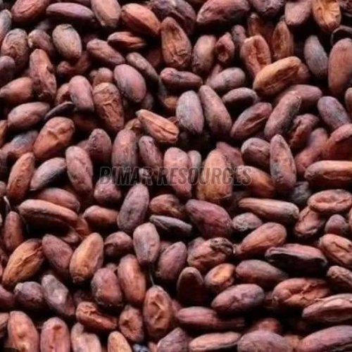 Brown Cocoa Beans