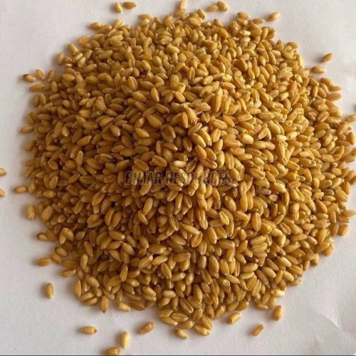 Durum Wheat Grain
