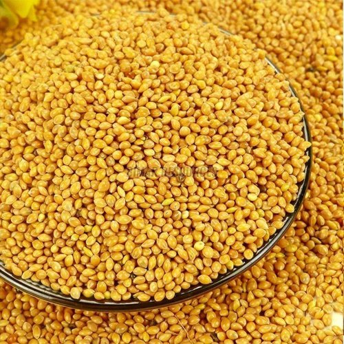 Foxtail Millet Seeds