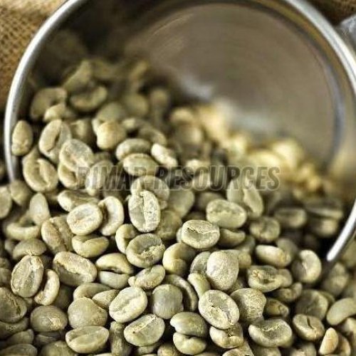 Green Coffee Beans