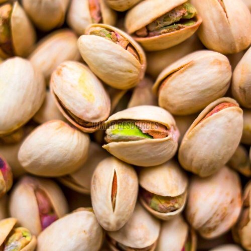 Pistachio Nuts