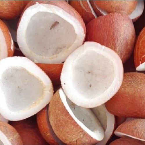Dried Whole Coconut