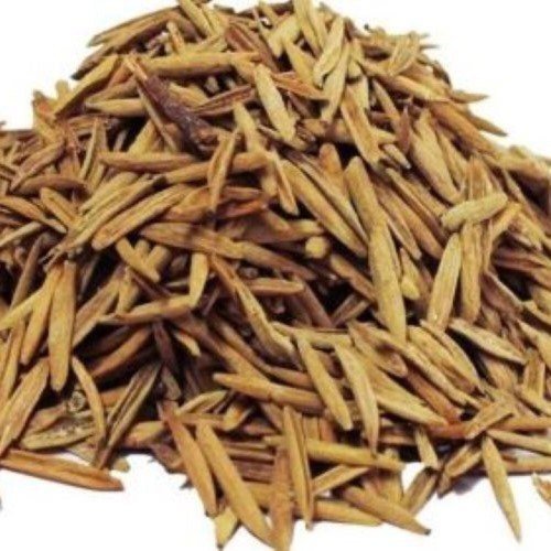 Indrajau Kadwa Roots
