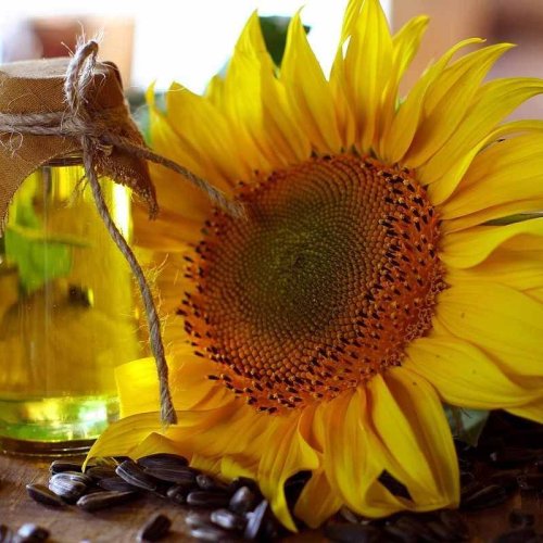 Edible Oils