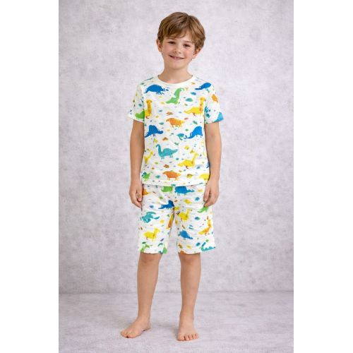 Boys Pajama Set