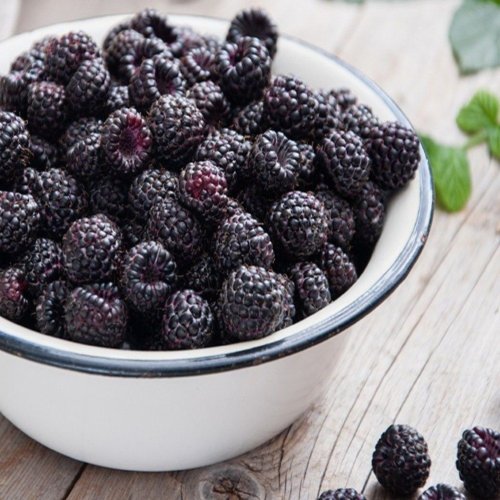 Blackberry