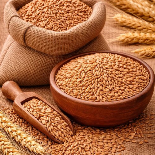 Organic Khapli Wheat