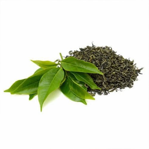 Export Quality Green Tea Leaves