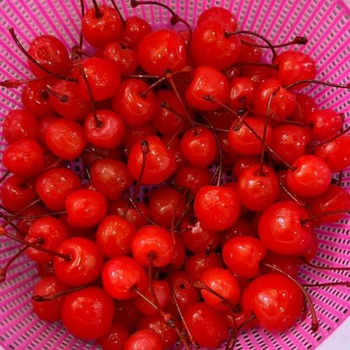 A Grade Red Cherry