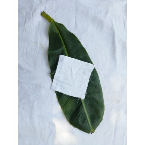 Banana Fiber Muslin Double Fabric