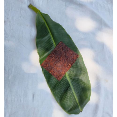 Banana Fiber Vegan Leather