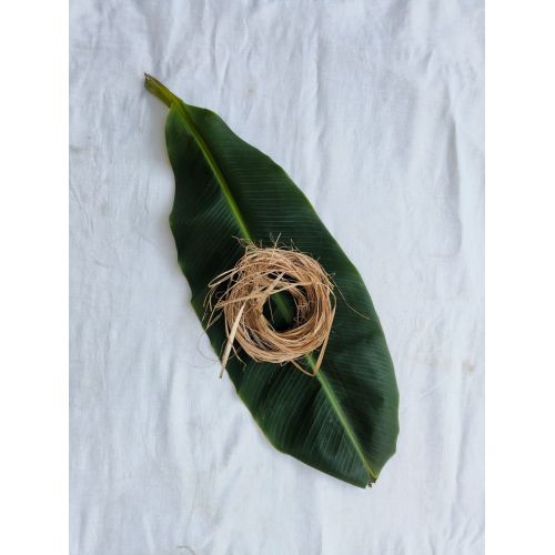 Raw Banana Fiber