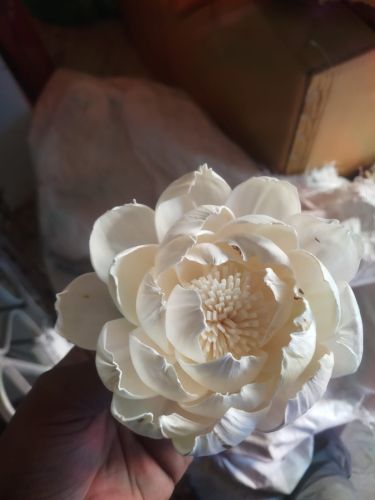 Handmade Paeonia Sola Wood Diffuser Flower