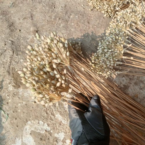 decorative white artificial stem flower bud