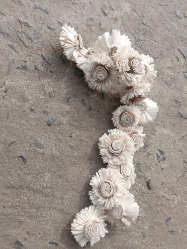 White Mini Sola Wood Flower