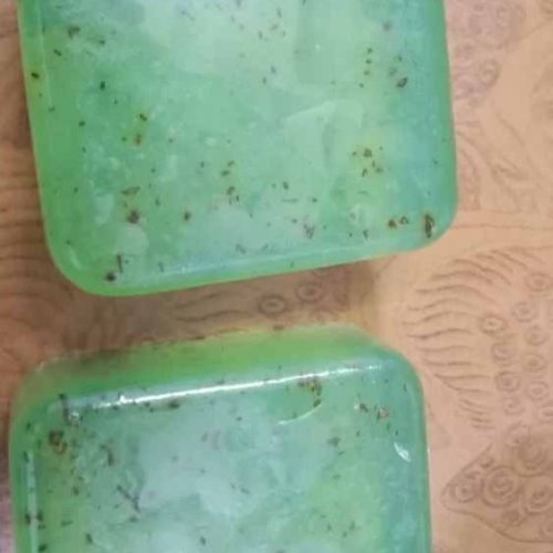 Aloevera Neem Soap